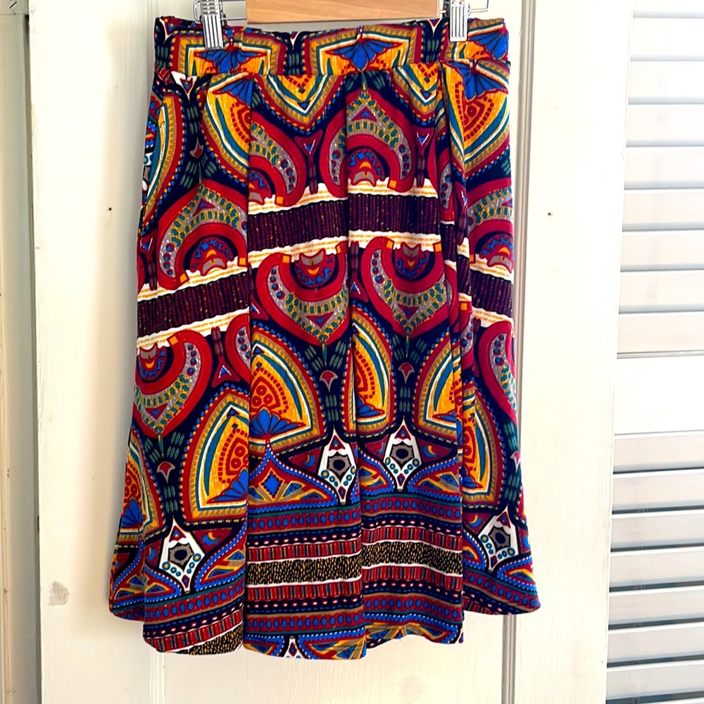 Amazing LuLa Roe Skirt